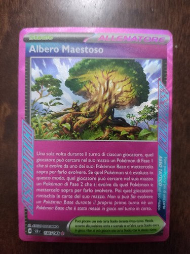 Albero maestoso 136 - albero,